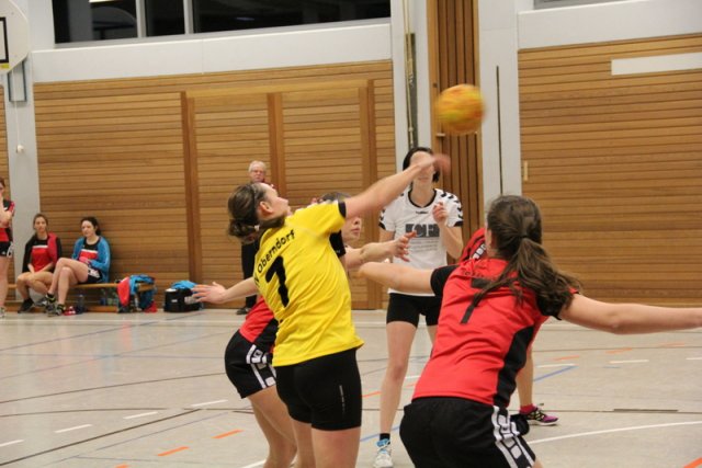 2016_01_23 Landesliga Frauen